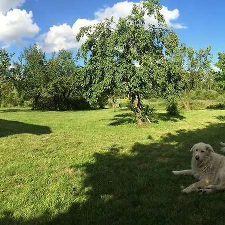 Ubytování v soukromí Dom W Przepitkach *