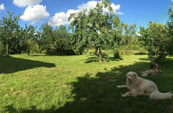 Homestay szállás Dom W Przepitkach *